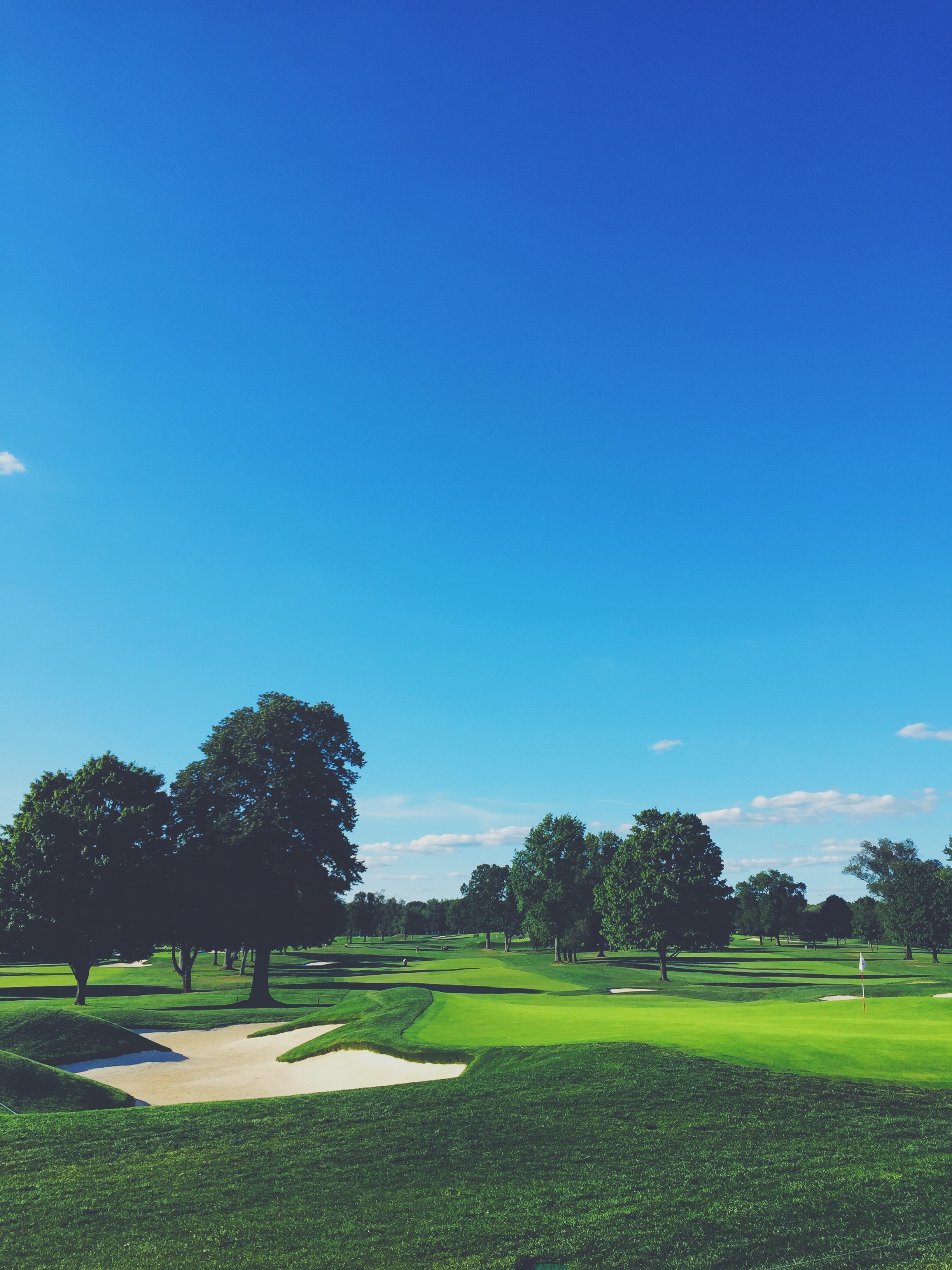 A greenside bunker on a golf course.